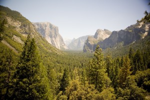 Landscapes-Yosemite-ValleyView-50